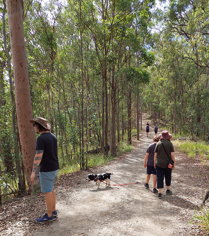 Dog friendly walks Brisbane