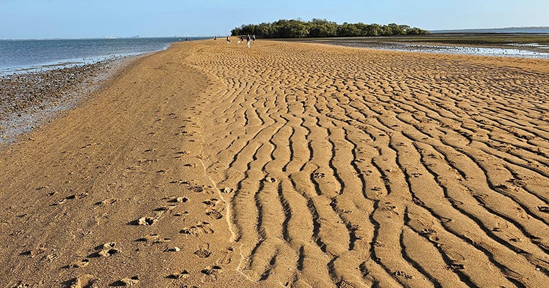 King Island Brisbane