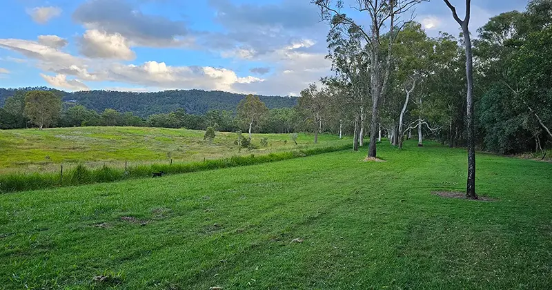 Samford Bora Ring - A Sacred Aboriginal Site