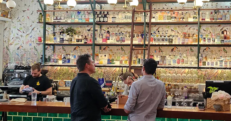 Convent Garden Gin Bar's vast selection, getting ready for World Gin Day for what's on in Brisbane in June!